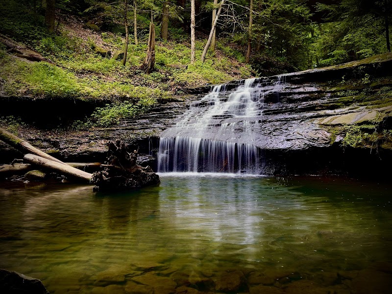 Mill Creek Gorge Trail & Suspension Bridge