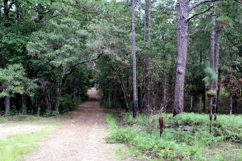Walthour-Moss Foundation & Moore County Horse Country