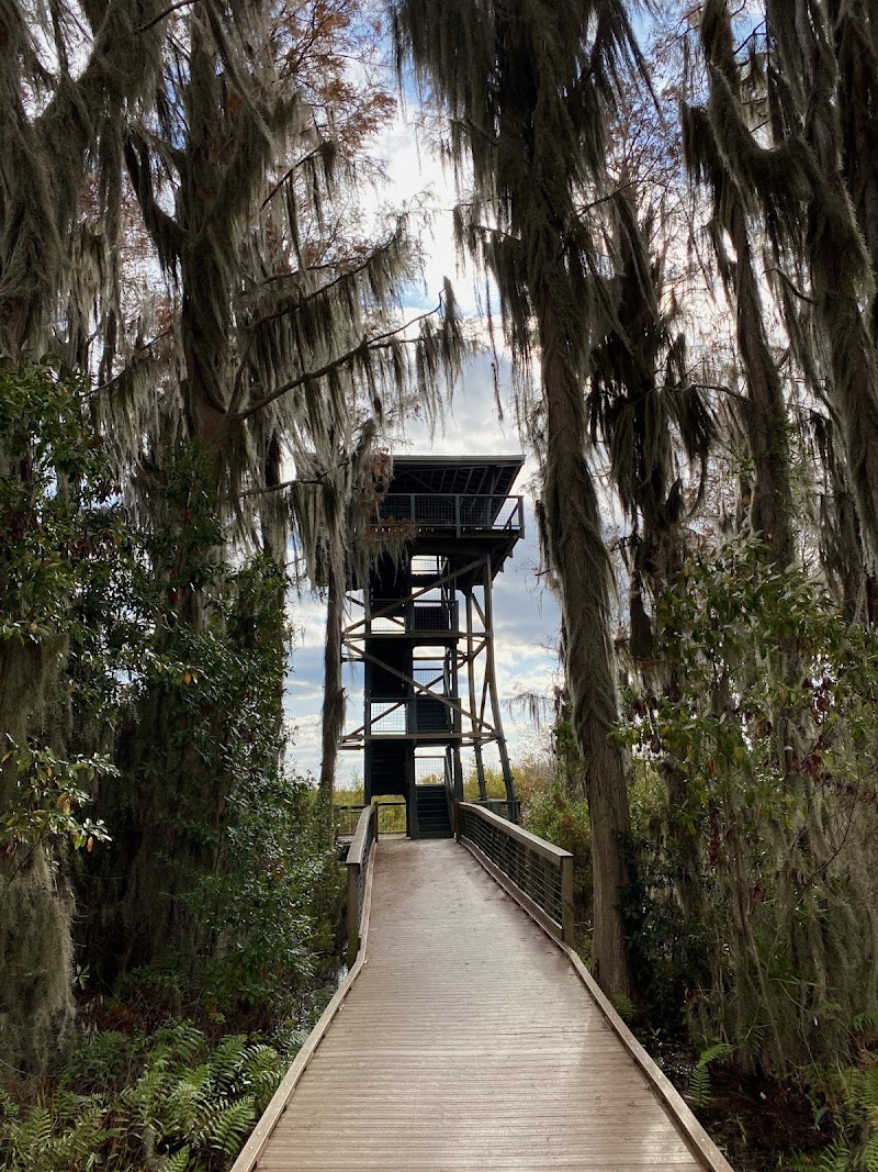 Chesser Island Homestead & Swamp Boardwalk