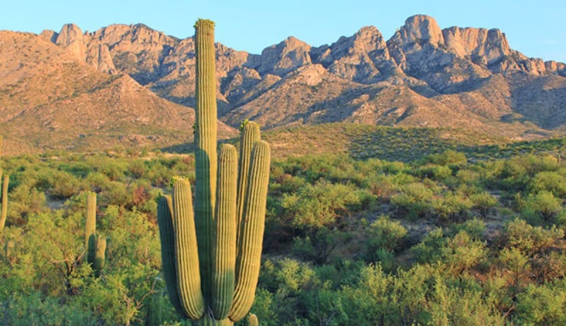 Continue at Nature Trail & Birding Loop, Catalina State Park