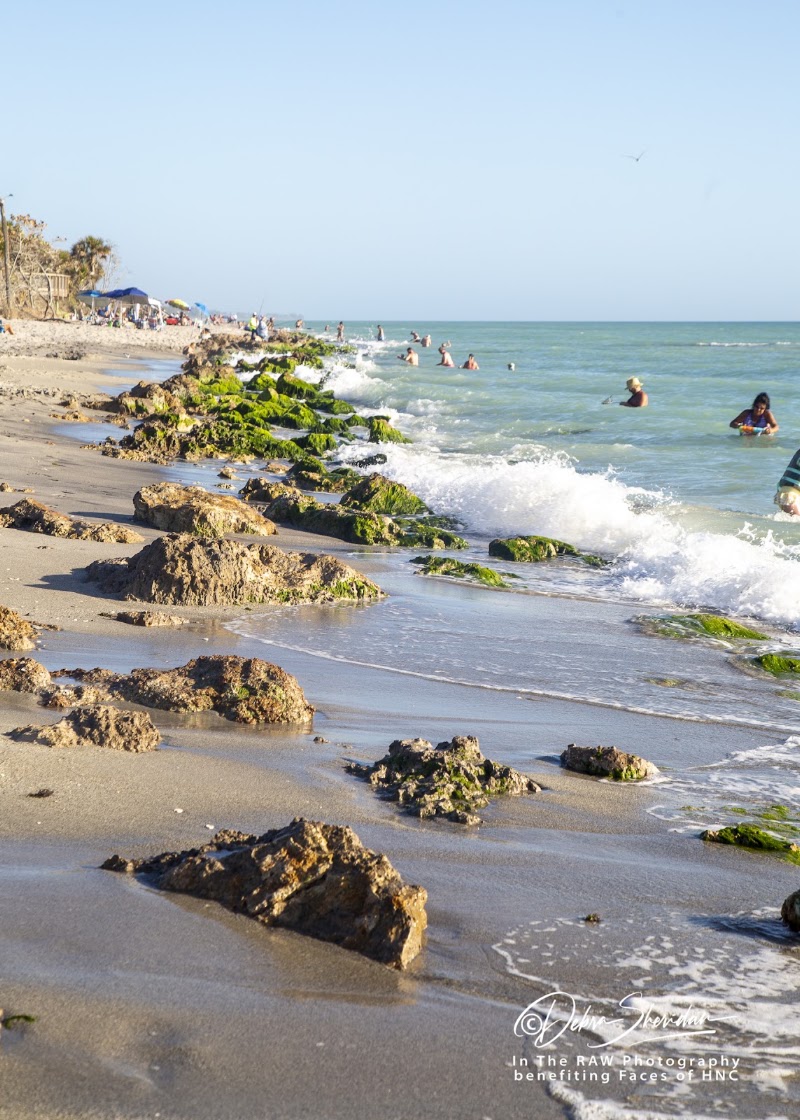 Caspersen Beach — Shark-Tooth Hunting