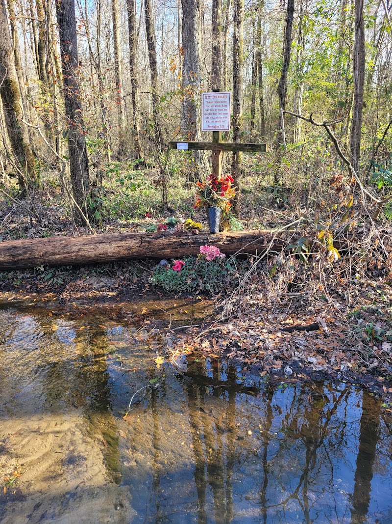 The Healing Springs Walk