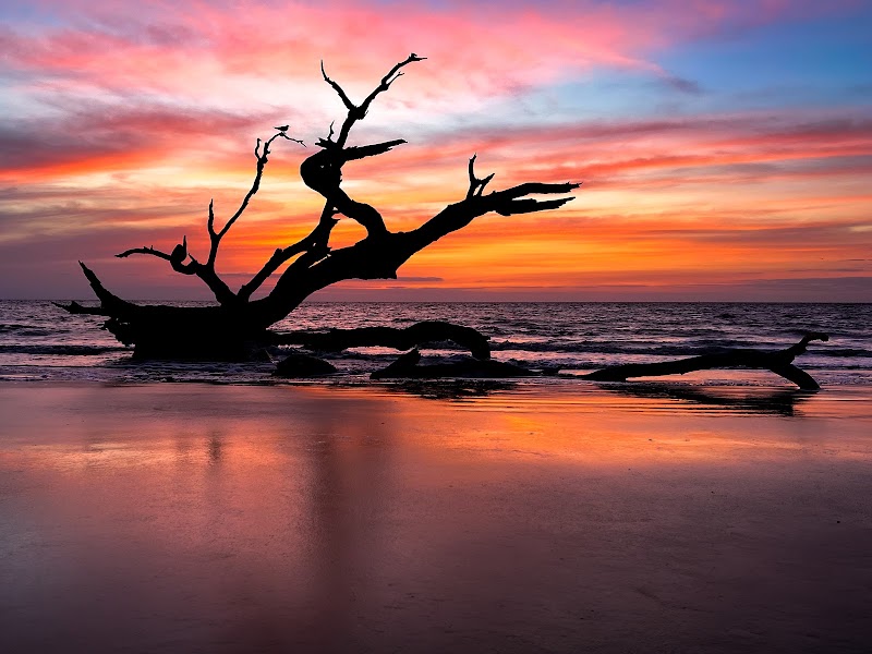 Jekyll Island Bike Path — Driftwood Beach to South End
