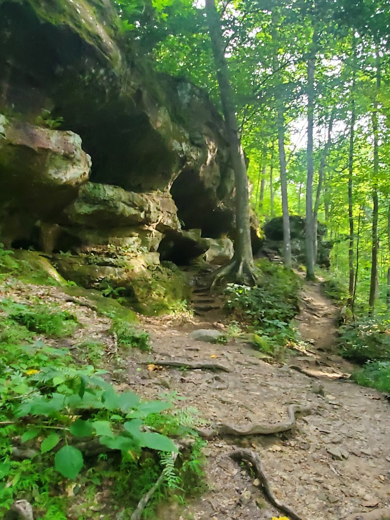 Hemlock Cliffs Box Canyon