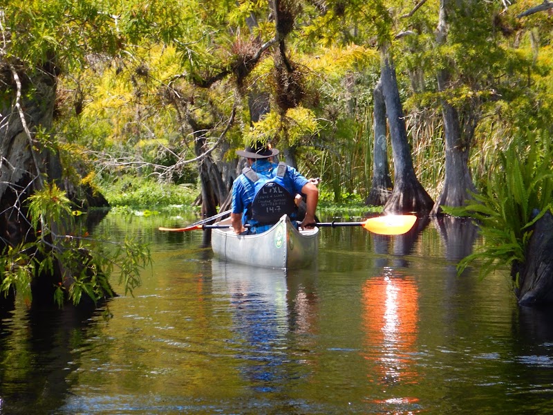 Econlockhatchee River Paddle