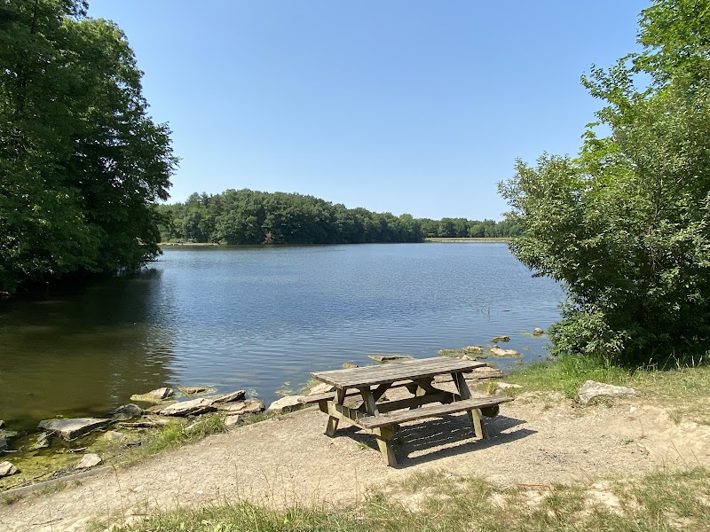 Continue at Findley Lake Loop Trail