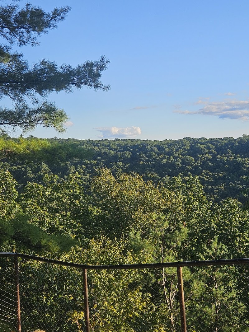 Forest Cathedral & Longfellow Trail