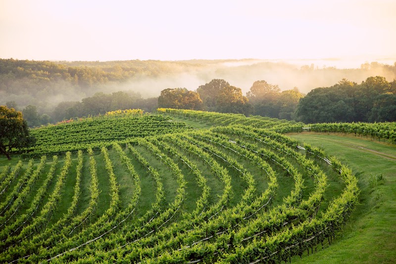 Montaluce Winery & Estates — Le Vigne Restaurant