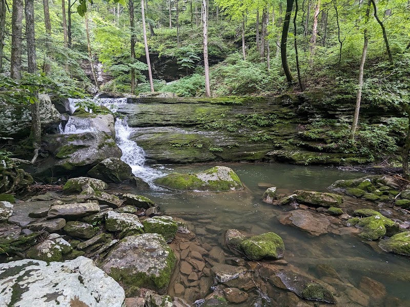 Laurel-Snow State Natural Area (Cumberland Trail)