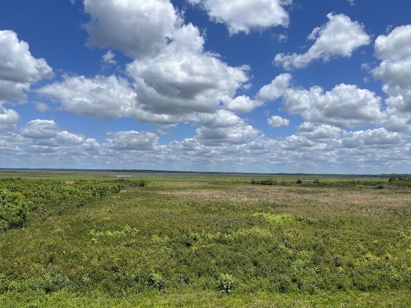 Paynes Prairie Preserve Overlook