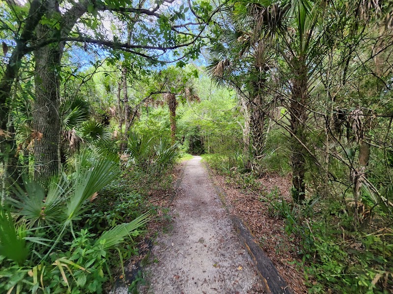 Ancient Hammock & Big Oak Trails