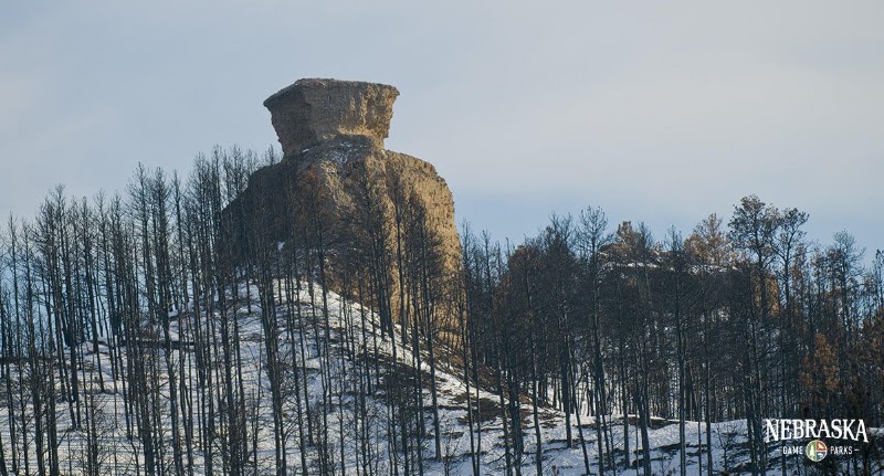 Coffee Mill Butte & grassland overlook