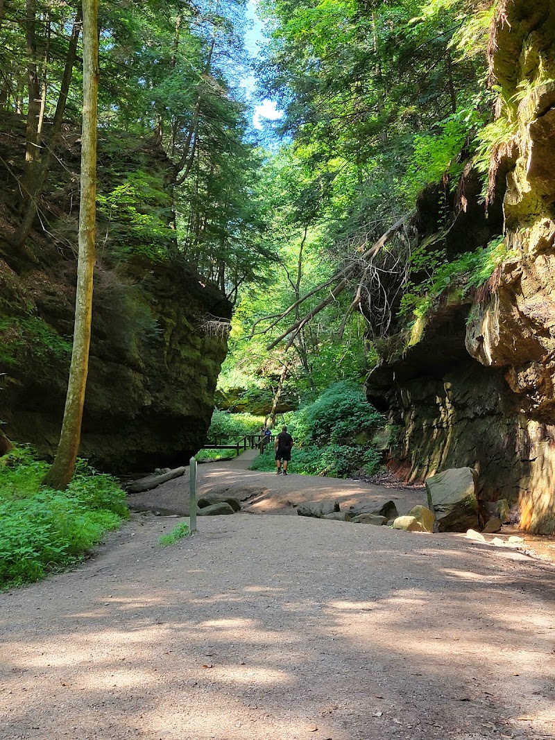 Turkey Run State Park — Trail 3 & the Ladders