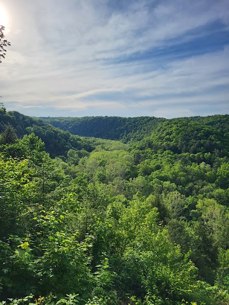 Clear Fork Gorge Trail