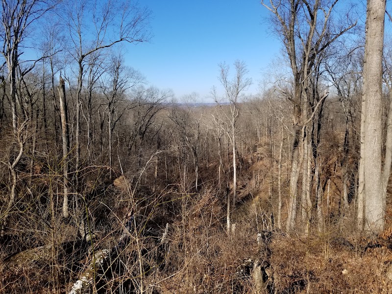 Peewah Trail & Bluff Overlooks