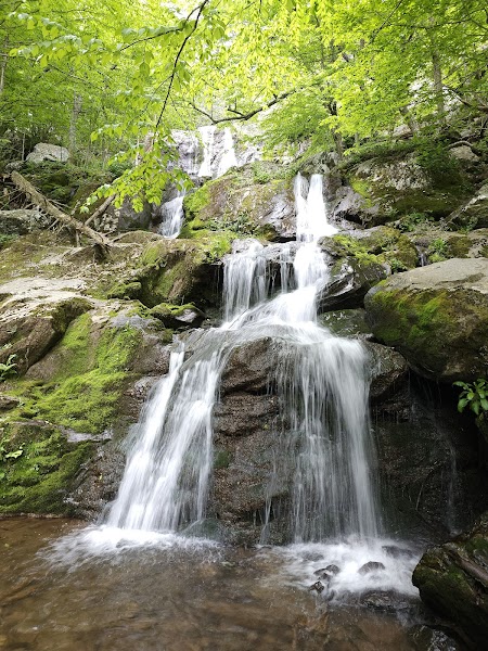 Dark Hollow Falls Trailhead