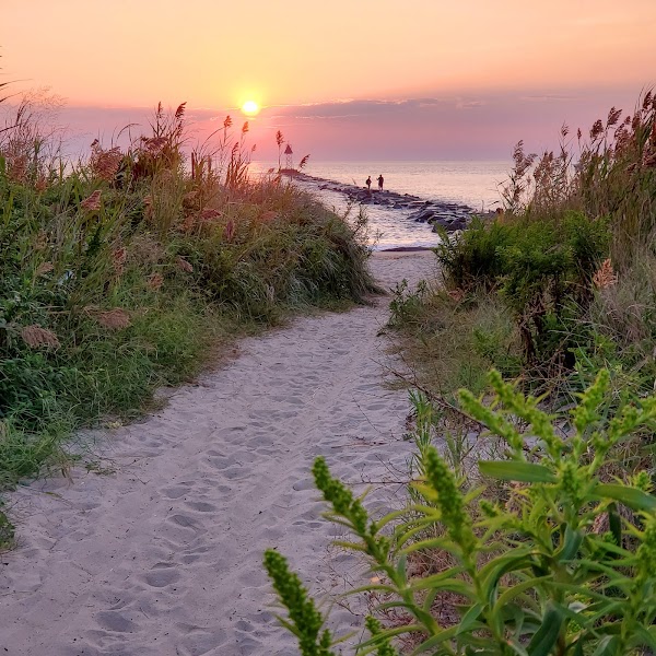 Higbee Beach Wildlife Management Area