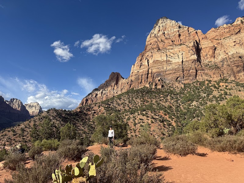 Watchman Trail — Zion