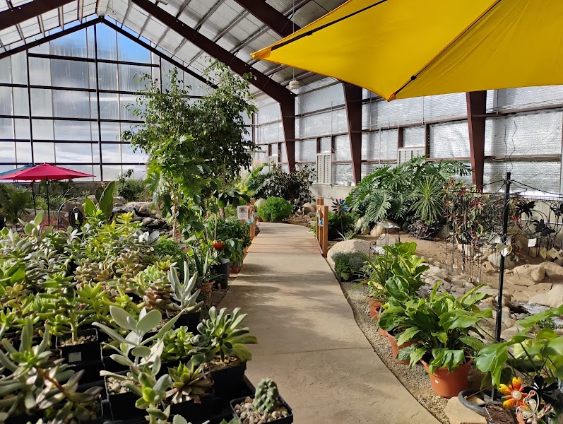 Charlotte Hot Springs & Botanical Gardens