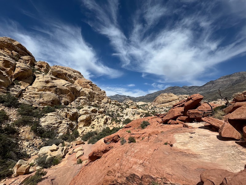 Calico Hills — Calico Tanks Trail