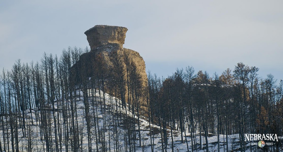 Coffee Mill Butte & grassland overlook