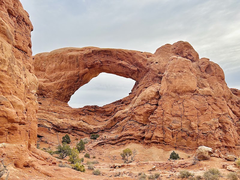Windows Section — Double Arch
