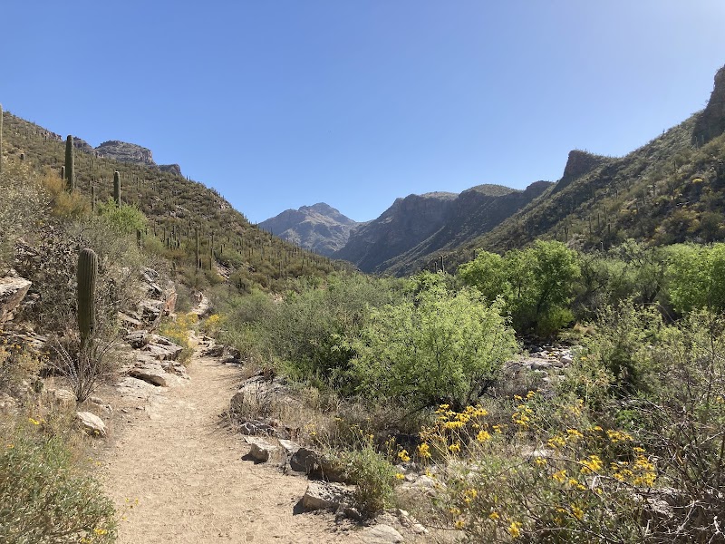 Sabino Canyon — Tram Ride