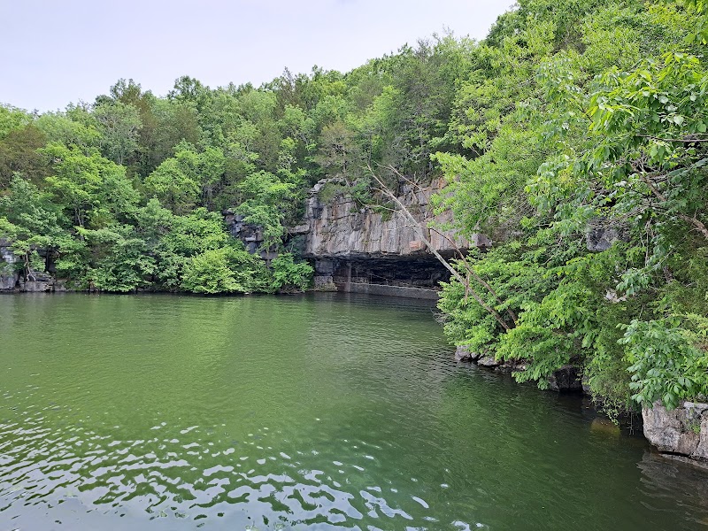 Nickajack Cave — Gray Bat Emergence