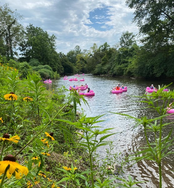 French Broad River Tubing — Hot Springs