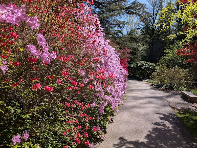 Biltmore Estate Gardens — Frederick Law Olmsted Design