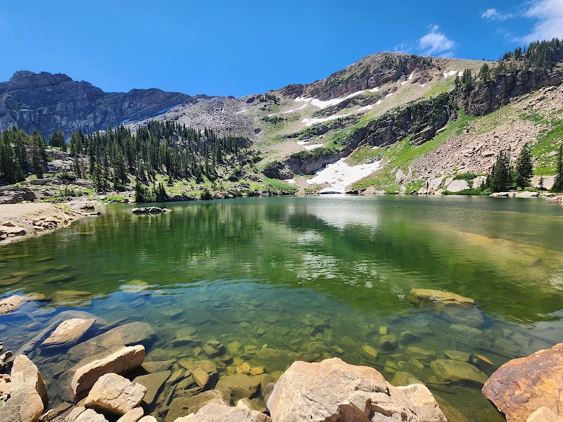 Uinta-Wasatch-Cache National Forest