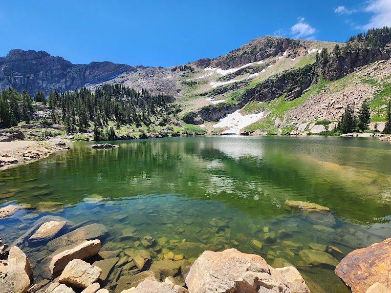 Uinta-Wasatch-Cache National Forest