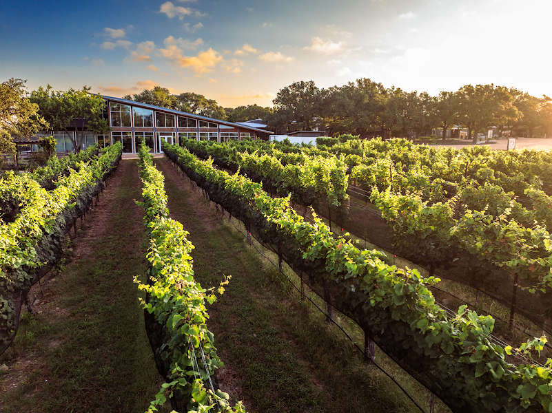 William Chris Vineyards