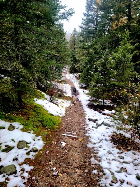 Red Lodge Foothills — Willow Creek & Nichols Creek Trails