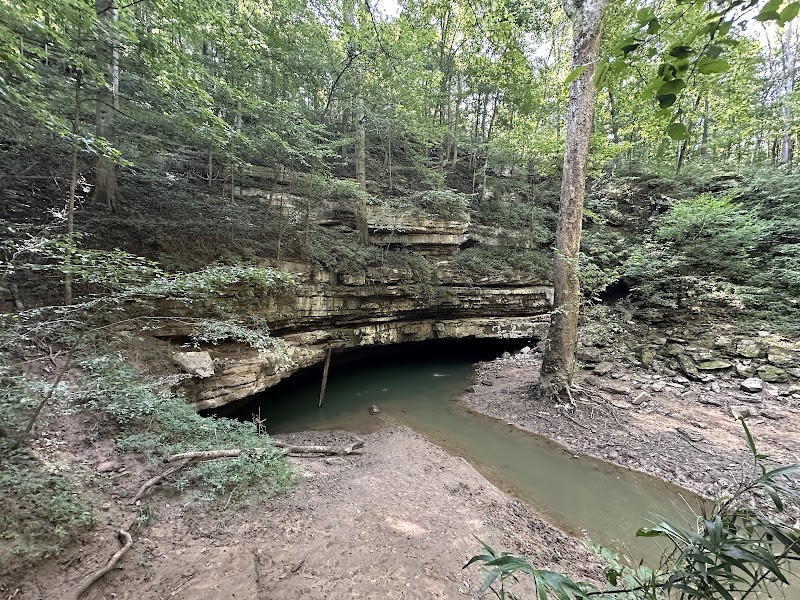 River Styx Spring & Cave Island Nature Trail