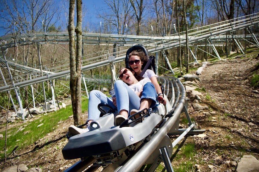 Wilderness Run Alpine Coaster