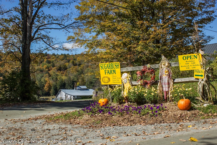 Sugarbush Farm — Maple & Cheese Tasting