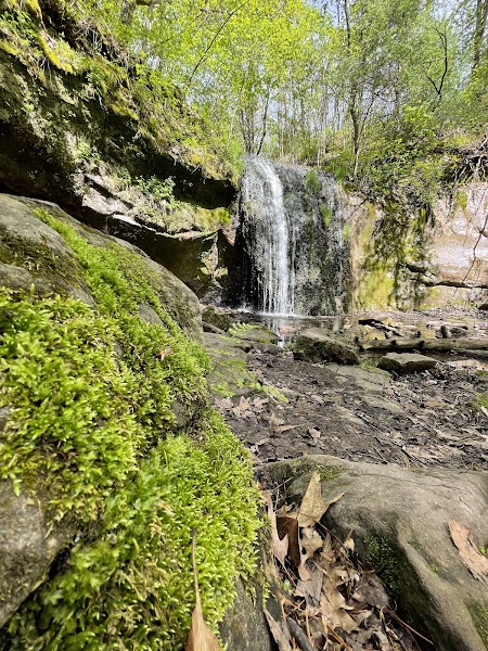 Stephens Falls & the White Oak Trail