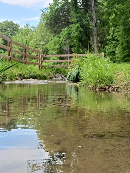 The Ebbing & Flowing Spring