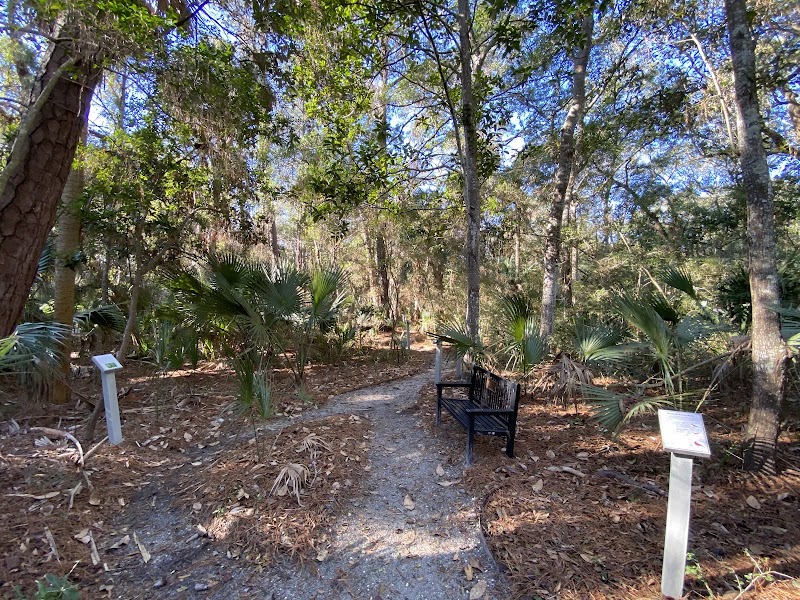 Maritime Forest Trail & Wildlife