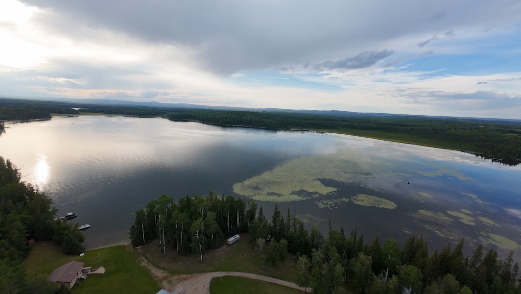 Bear Lake Perch