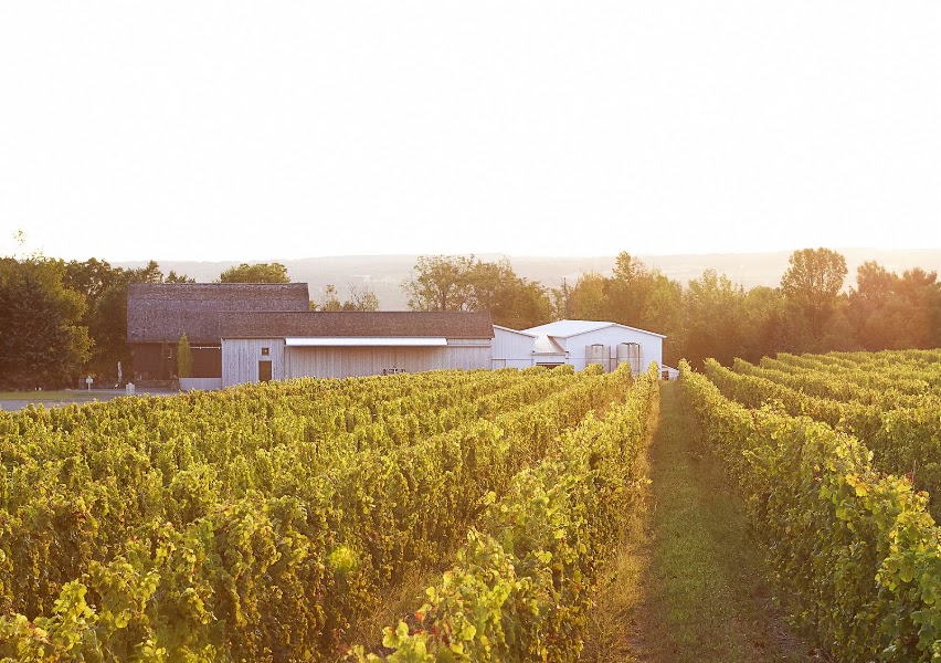Hermann J. Wiemer Vineyard, Dundee