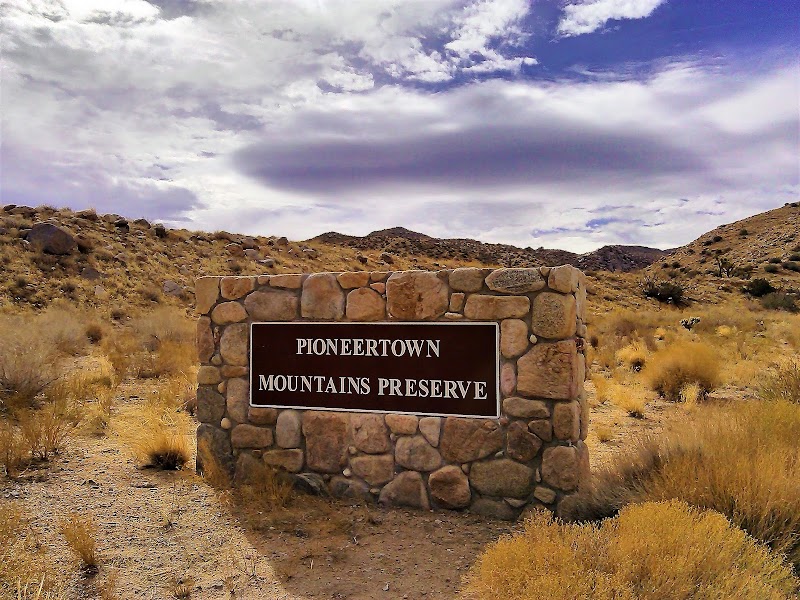Pioneer Joshua Tree Grove & Fremont Petroglyphs, Snow Canyon