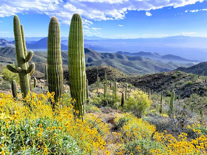 King Canyon Trail — Wasson Peak