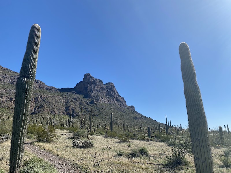Picacho Peak Summit