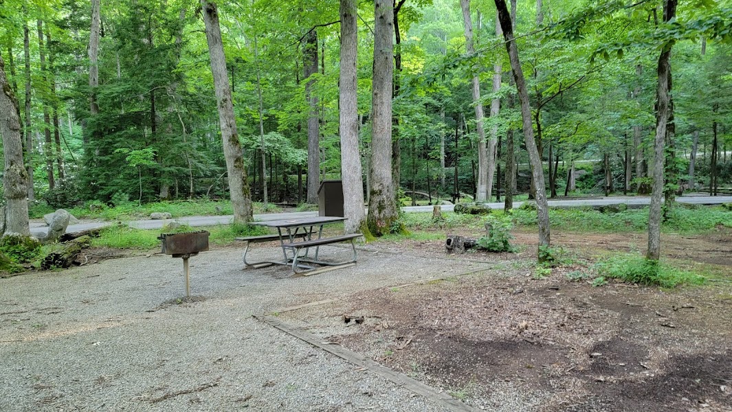 Picnic at Cades Cove
