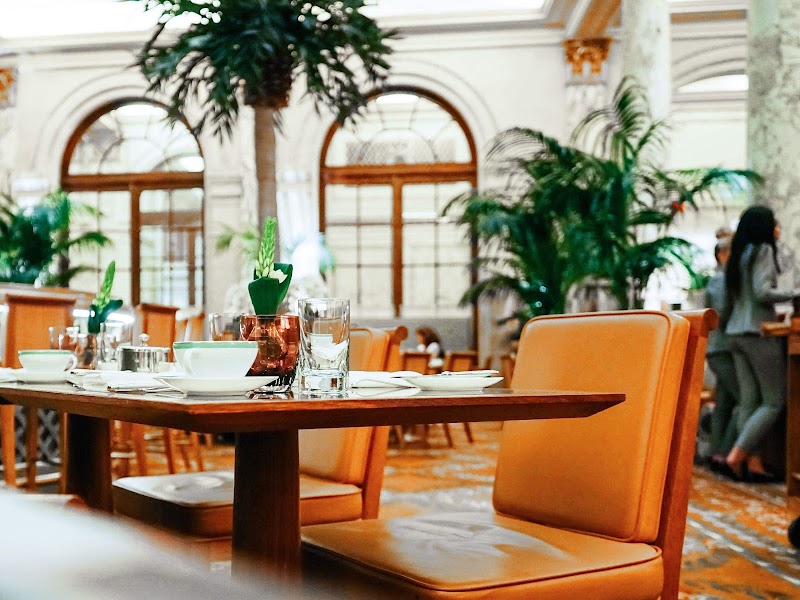 The Safari Club at the Plaza Hotel (lunch)