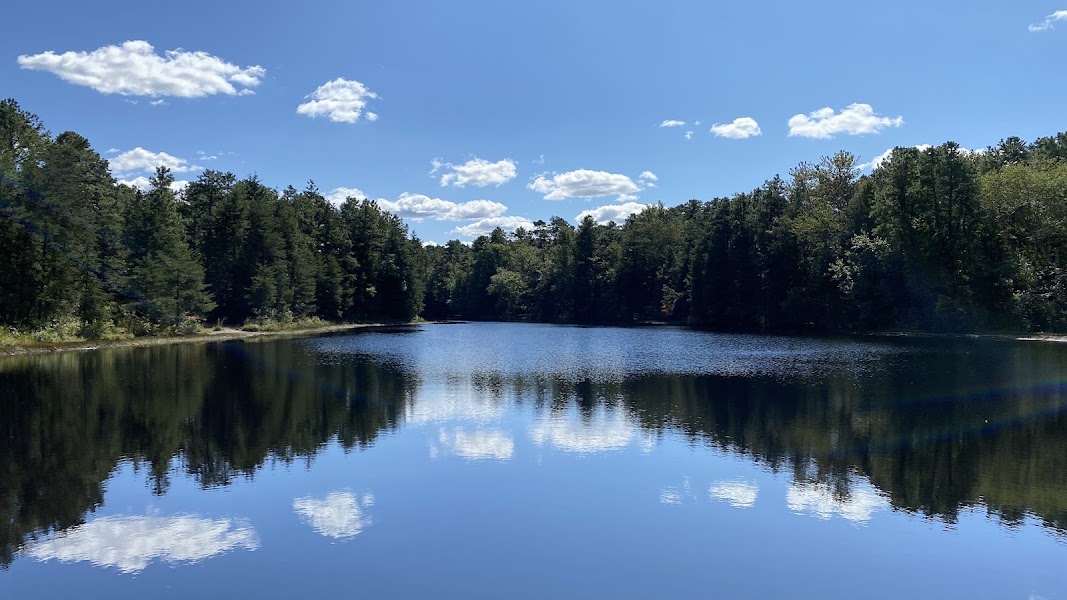 Brendan T. Byrne State Forest