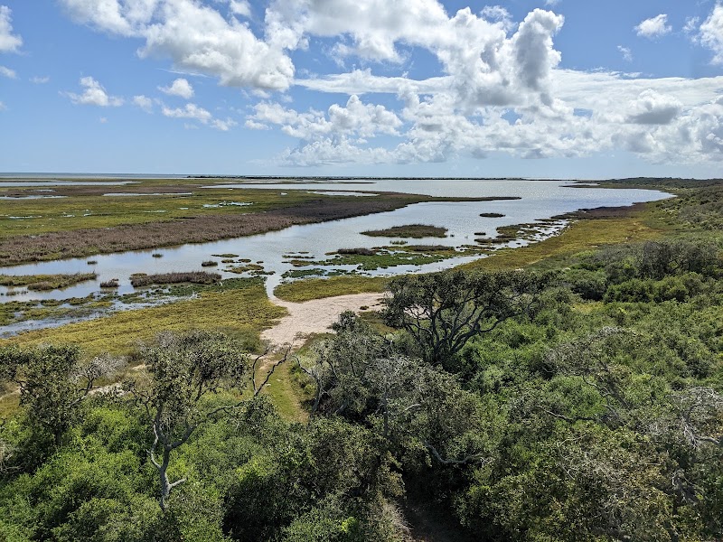 Aransas National Wildlife Refuge — Observation Tower & Trails