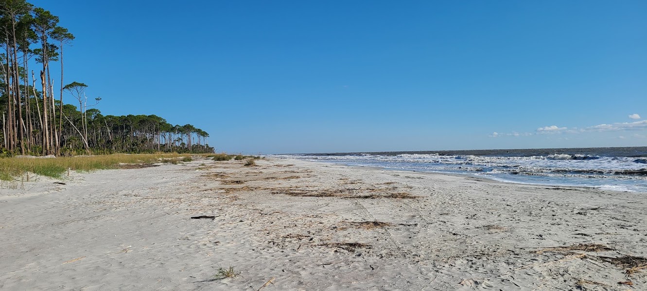Hunting Island Lagoon Nature Trail